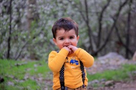 thumb_IMG_0617_1024