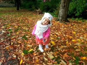 16472896_1227276784027271_8106875518981280567_n